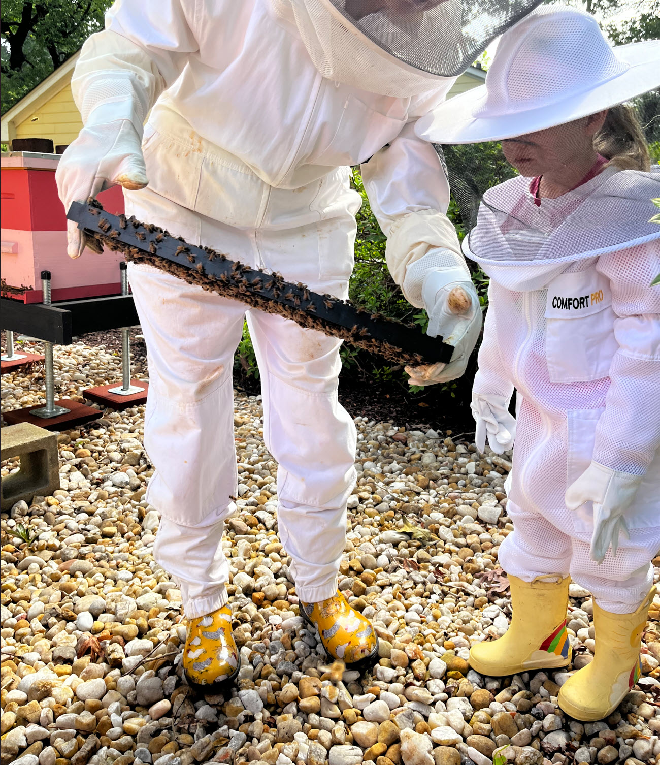 Beekeeping
