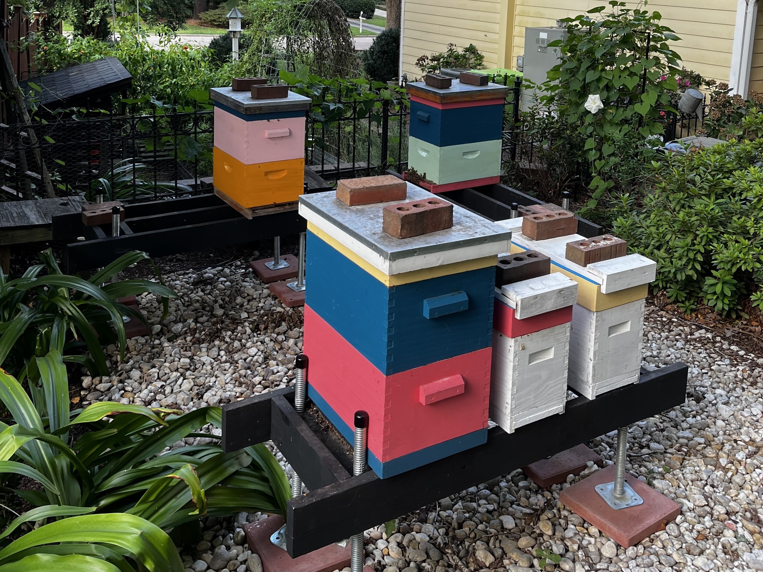 Our Bee Colonies 2